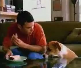 Vídeo - Cuidado com o cão