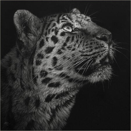A Arte realista de Cristina Penescu