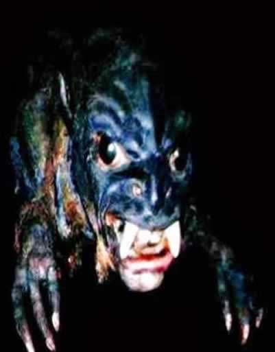 Chupa-cabra: O que existe de verdade sobre a lenda macabra?