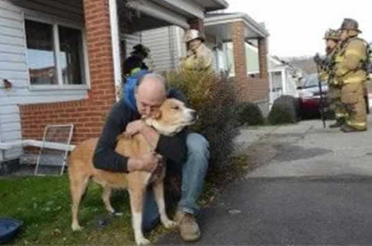 Cachorro adotado salva dono de casa pegando fogo