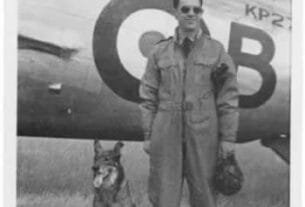 A História de ‘Antis’ , cachorro condecorado por bravura na 2ª Guerra