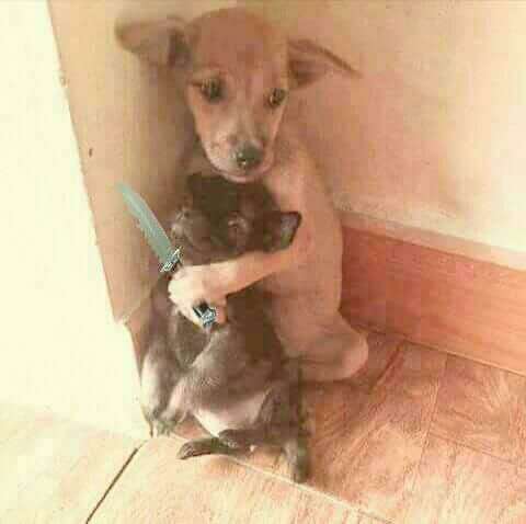 O esquerdismo tá demais ! Todo mundo só pensa em roubar ! Veja o absurdo a que chegamos !