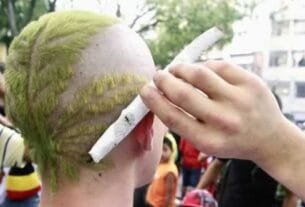 Plantações de maconha nas universidades brasileiras