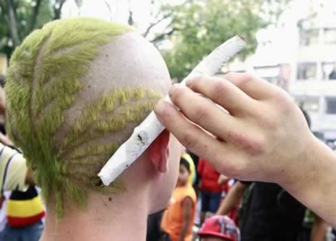 Plantações de maconha nas universidades brasileiras