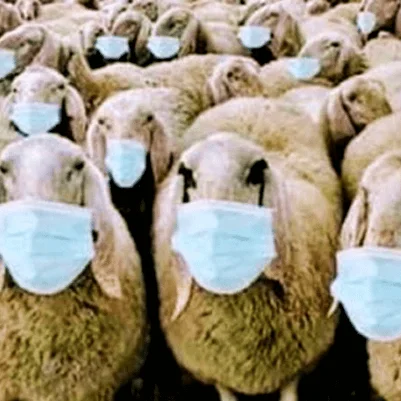 20 coisas que aprendi ou confirmei sobre a humanidade durante a pandemia